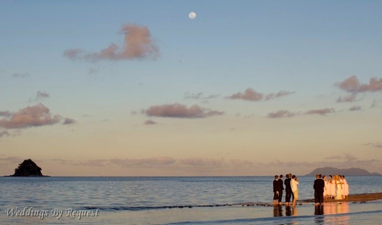 Weddings By Request - Gayle Dean, Celebrant -- 0176.jpg